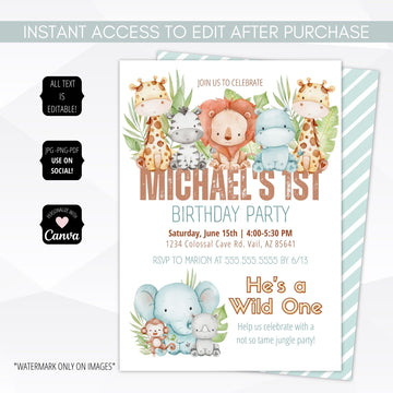 1st birthday invitation